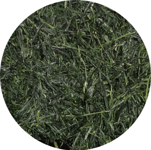 GYOKURO